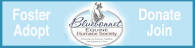 Bluebonnet Equine Humane Society